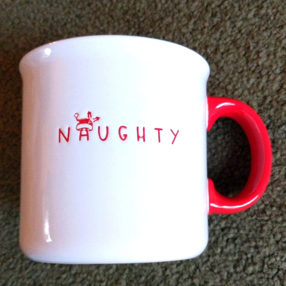 NAUGHTY 16 oz mug